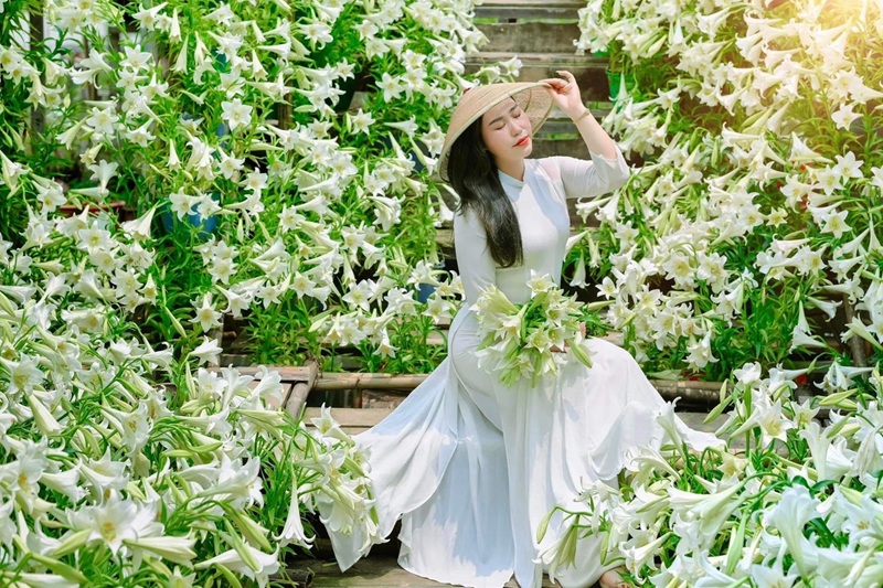 Địa điểm chụp ảnh hoa ở Hà Nội. Địa điểm chụp ảnh hoa tại Hà Nội