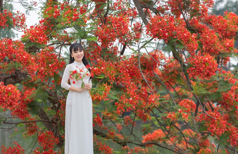 Địa điểm chụp ảnh hoa ở Hà Nội. Chụp hình hoa ở Hà Nội