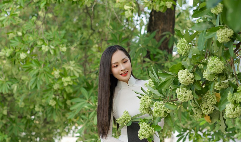 Địa điểm chụp ảnh hoa ở Hà Nội. Chụp hình hoa ở Hà Nội