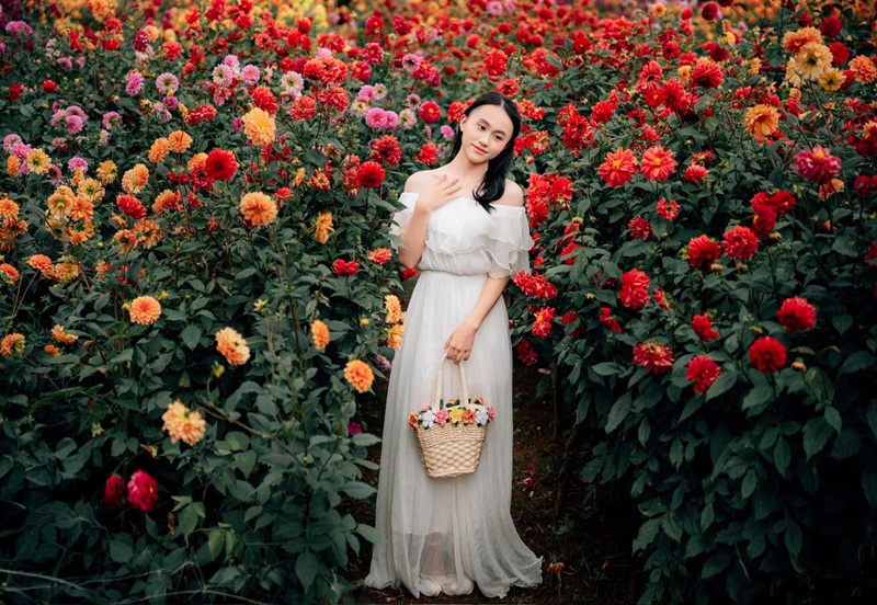 Địa điểm chụp ảnh hoa ở Hà Nội. Chụp hình hoa ở Hà Nội