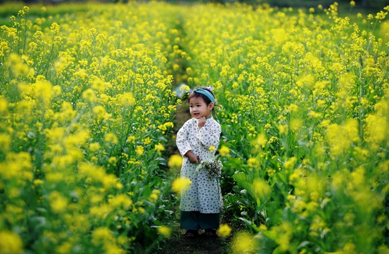 Địa điểm chụp ảnh hoa ở Hà Nội. Địa điểm chụp ảnh nổi tiếng ở Hà Nội