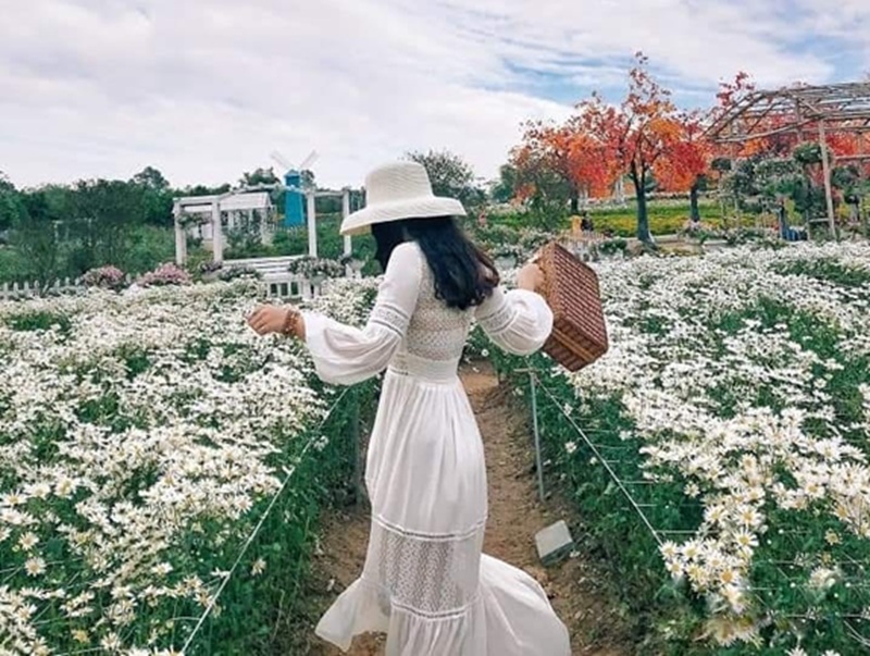 Địa điểm chụp ảnh hoa ở Hà Nội. Chụp hình hoa ở Hà Nội