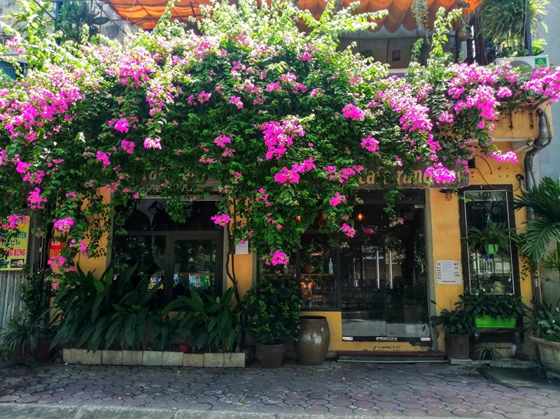 Quán cafe ven sông Hồng ở Hà Nội. Quán cafe ven sông giá rẻ ở Hà Nội