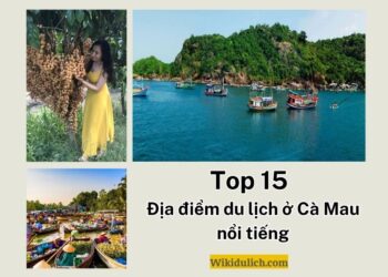 Địa điểm du lịch Cà Mau. Ở Cà Mau nên đi đâu chơi