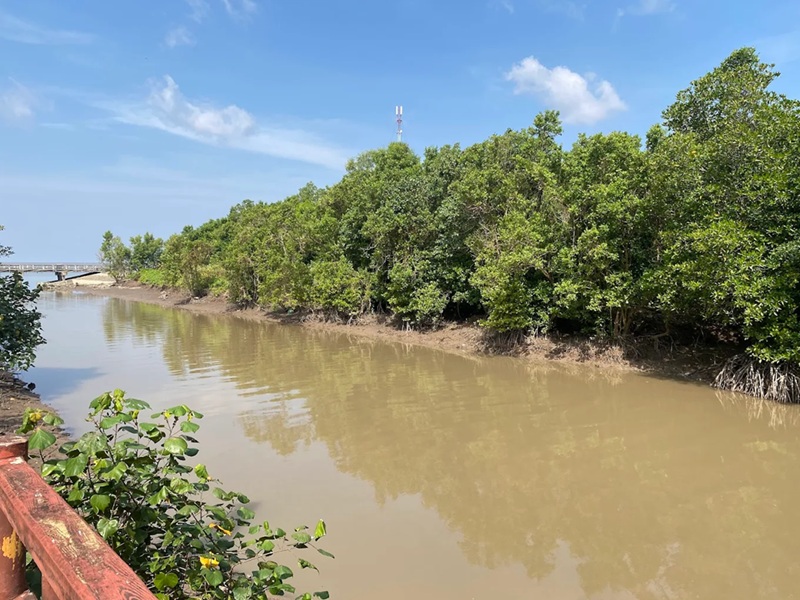 Địa điểm du lịch Cà Mau. Ở Cà Mau nên đi đâu chơi