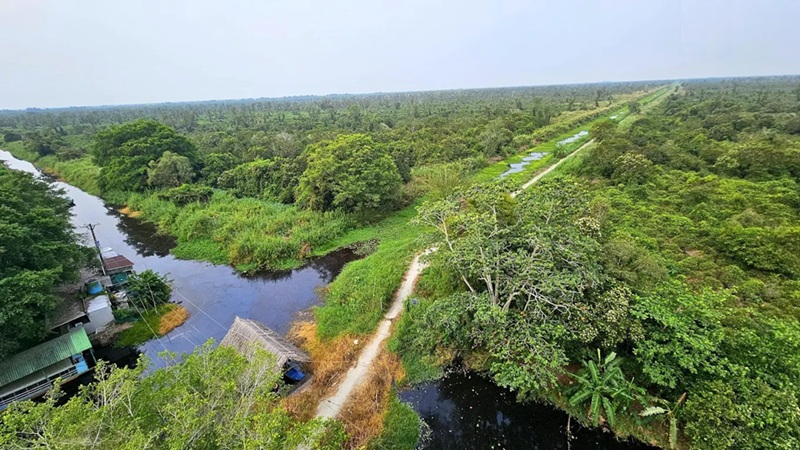 Địa điểm du lịch Cà Mau. Địa điểm đẹp ở Cà Mau