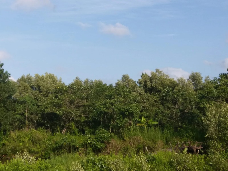 Địa điểm du lịch Cà Mau. Địa điểm đẹp ở Cà Mau