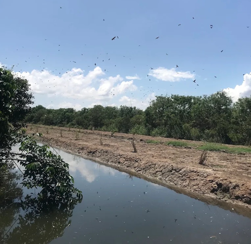 Địa điểm du lịch Cà Mau. Ở Cà Mau đi đâu chơi