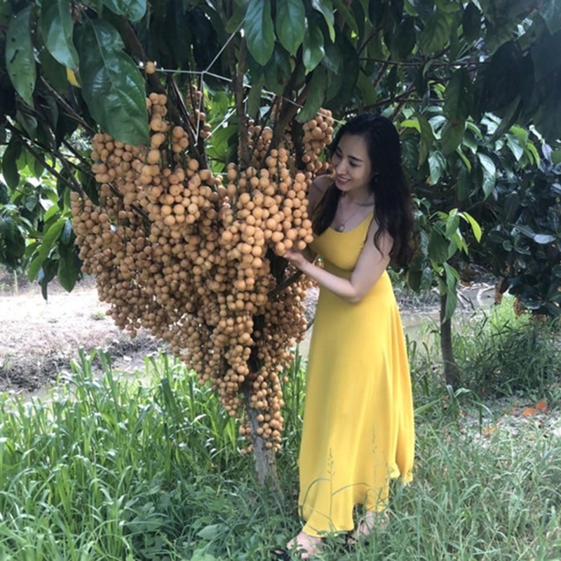 Địa điểm du lịch Cà Mau. Ở Cà Mau nên đi đâu chơi