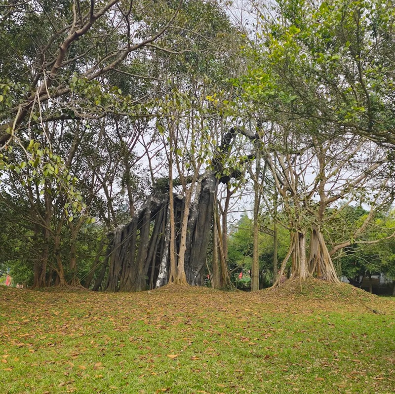 Địa điểm du lịch Tuyên Quang. Ở Tuyên Quang nên đi đâu chơi