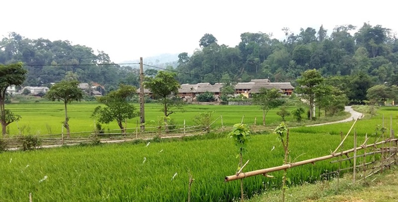 Địa điểm du lịch Tuyên Quang. Du lịch Tuyên Quang nên đi đâu