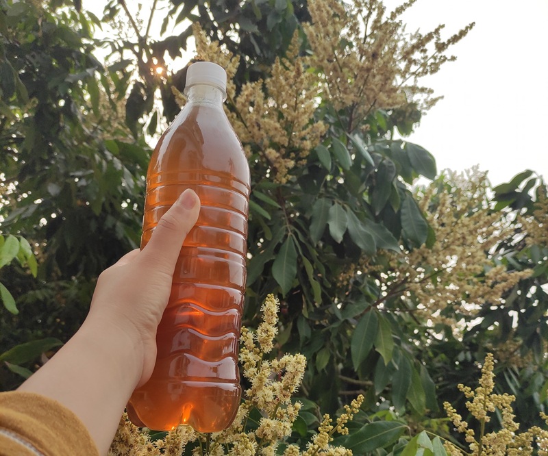 Đặc sản Hưng Yên làm quà. Du lịch Hưng Yên mua gì làm quà