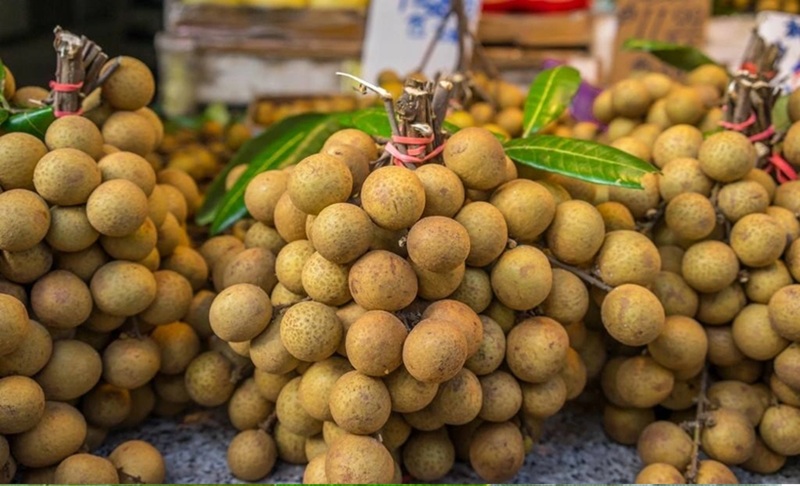 Đặc sản Hưng Yên làm quà.Ở Hưng Yên mua gì làm quà