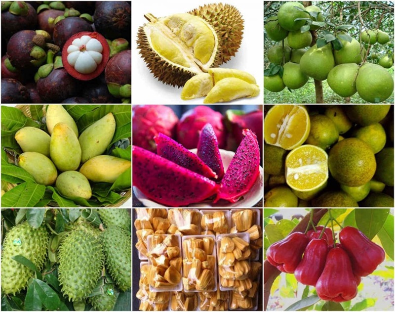 Du lịch Cần Thơ tháng 6. Du lịch Cần Thơ tự túc