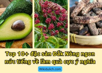 Đặc sản Đắk Nông làm quà. Đặc sản ở Đắk Nông ngon làm quà