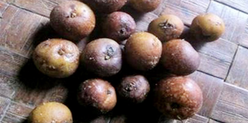 Đặc sản kon Tum làm quà. Đặc sản kon tum ngon làm quà