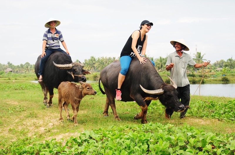 Review Làng rau Trà Quế. Có nên đi chơi làng rau Trà Quế không