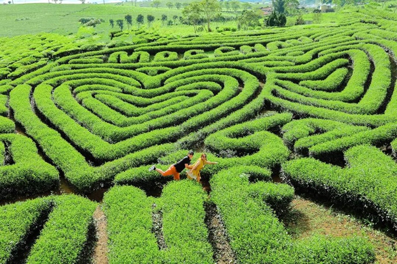 Địa điểm du lịch gần Hải Phòng. Du lịch gần Hải Phòng nên đi đâu chơi