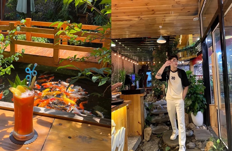 Quán cafe ở Đồ Sơn. Quán cafe nổi tiếng ở Đồ Sơn