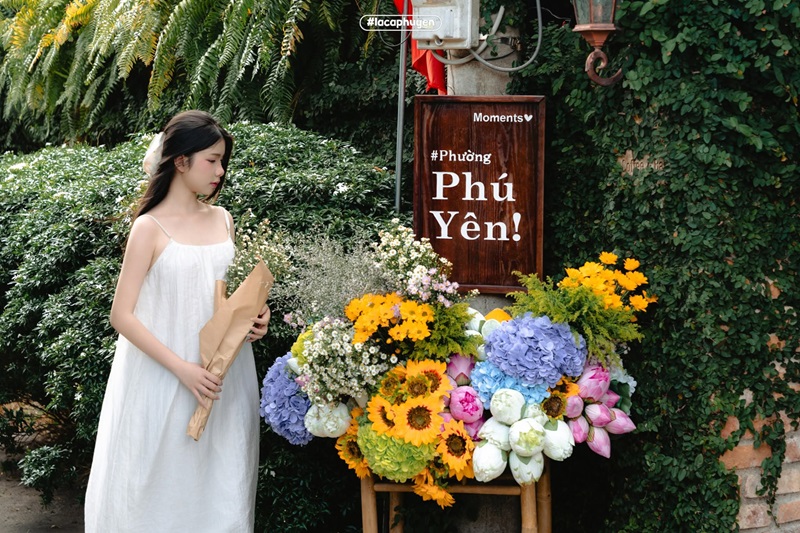 Quán cafe ở Phú Yên. Quán cafe nổi tiếng Phú Yên
