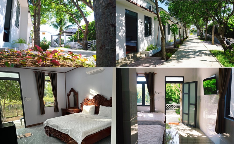 Khách sạn giá rẻ gần biển Ninh Chữ. Hải An Homestay